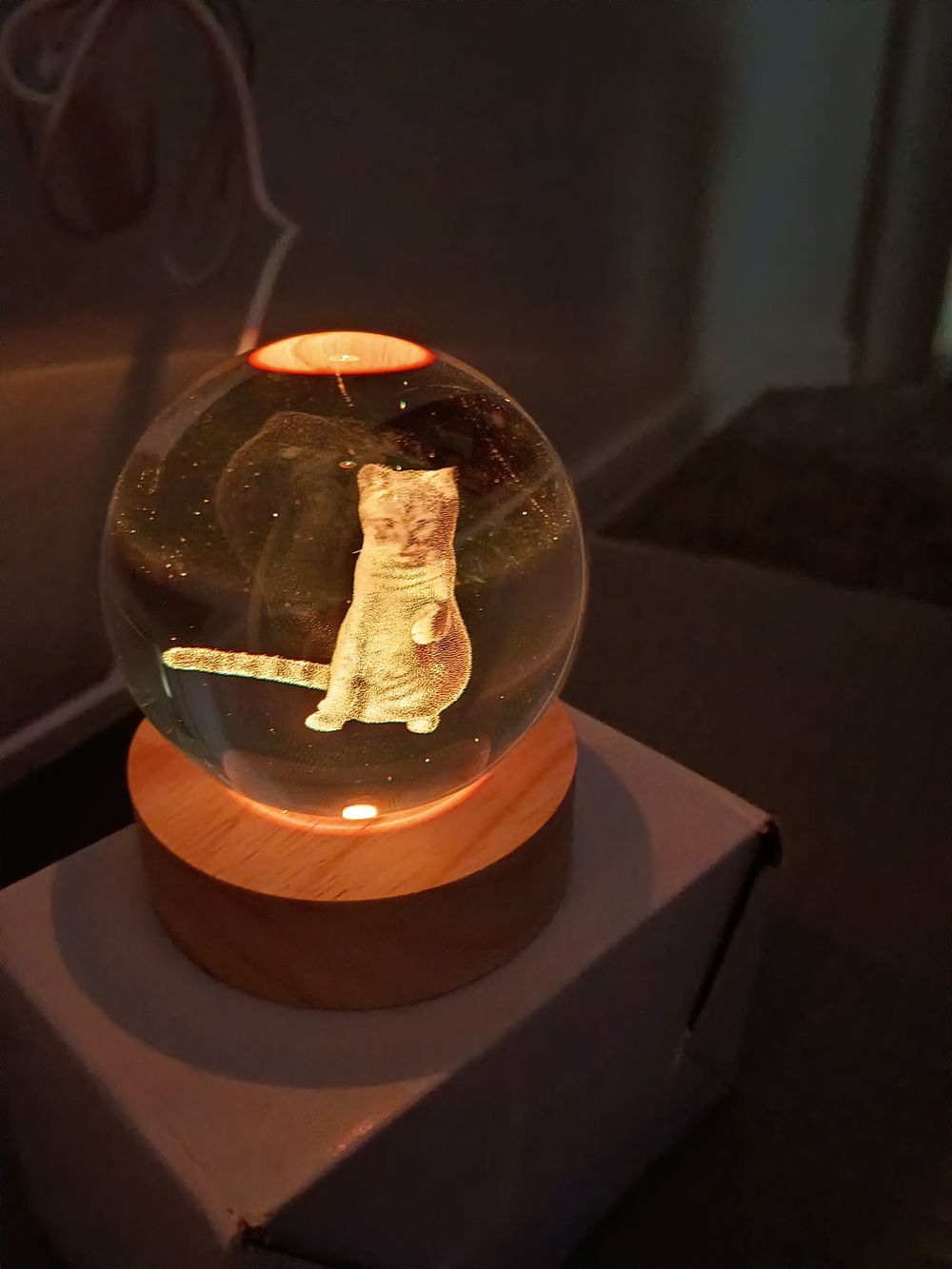 3D Cat Crystal Ball LED Color Changing Night Light 2.4" Wood Base